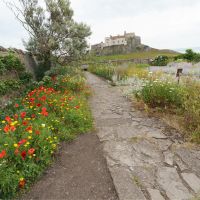 Gertrude Jeckyl Garden, Lindisfarne | Martin Strasmore