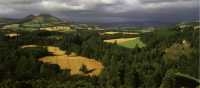 Looking towards the Eldon Hills near Melrose