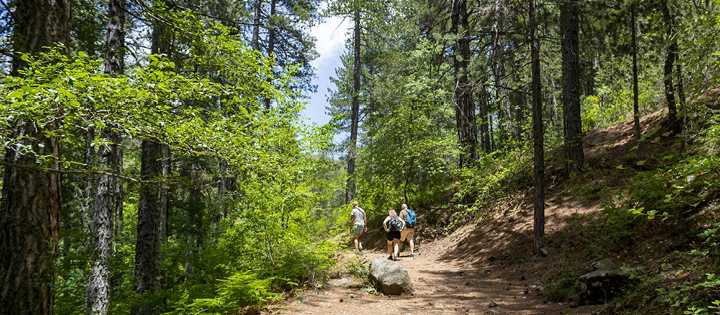Hiking the Caledonia Nature Trail, Cyprus | Olga Dunchuk