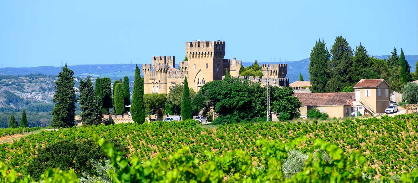 Vineyards of Chateauneuf du Pape appellation with grapes growing on soils with large rounded stones galets roules, lime stones, gravels, sand and clay, famous full body red wines, France | barmalini