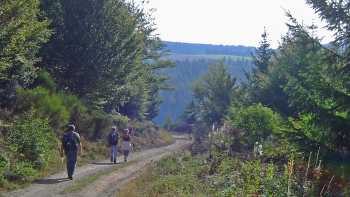 Mercoire forest on the Stevenson Trail in France's Cevennes