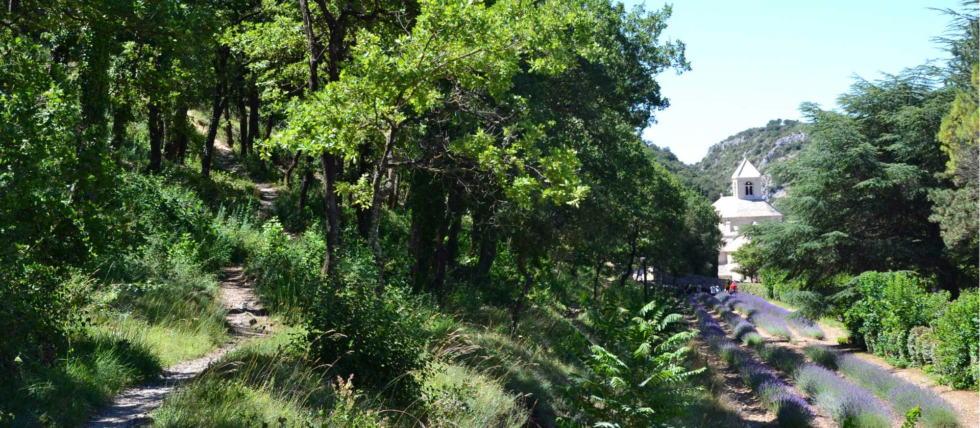 Approach Senanque Abbey on your winter hiking trip in Provence | Martin van Dalen