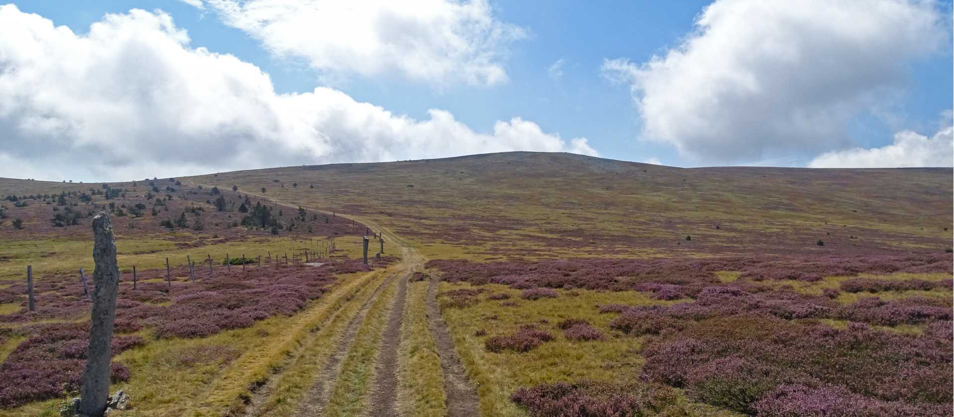 Towards the Mont Lozère, coming from Le Bleymard | Timothee Flutre