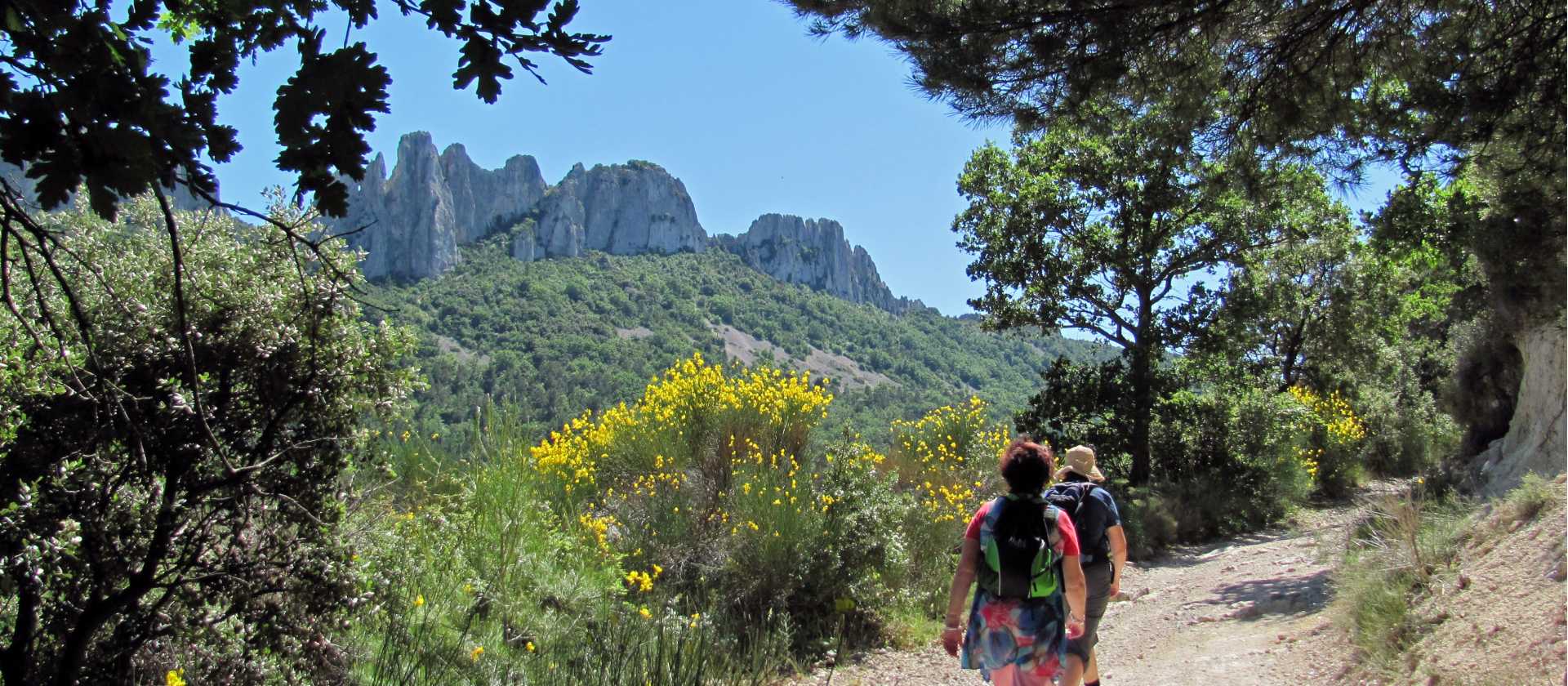 Walking the Dentelles de Montmirail, Provence