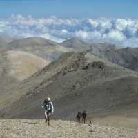 Walking in the rugged ‘White Mountains’