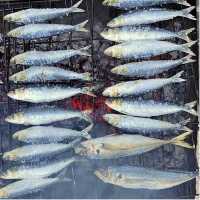 Sardines on the Grill, Northern Portugal