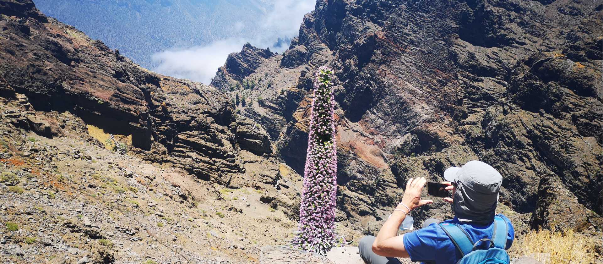 A hiker takes a break on the trails of La Palma