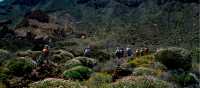 Walking in Mount Teide National Park