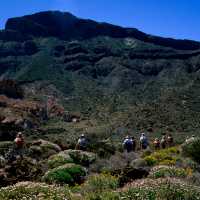 Walking in Mount Teide National Park