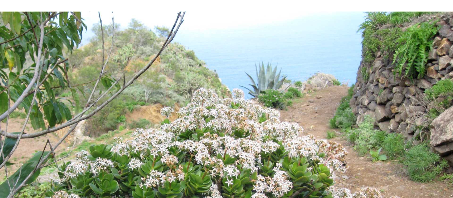 Coastal paths on Tenerife