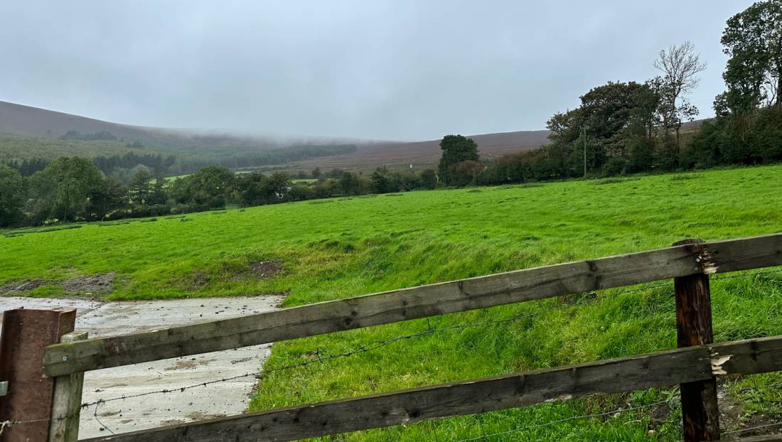 Vast greenness of Irish farms in Tinahely |  <i>Melodie Theberge</i>