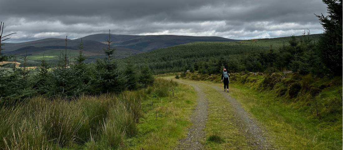 Cloudy day on the Wicklow Way |  <i>Melodie Theberge</i>