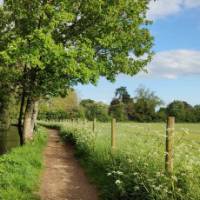 The Area of Outstanding Natural Beauty that is the Cotswolds | Mabel Cheang