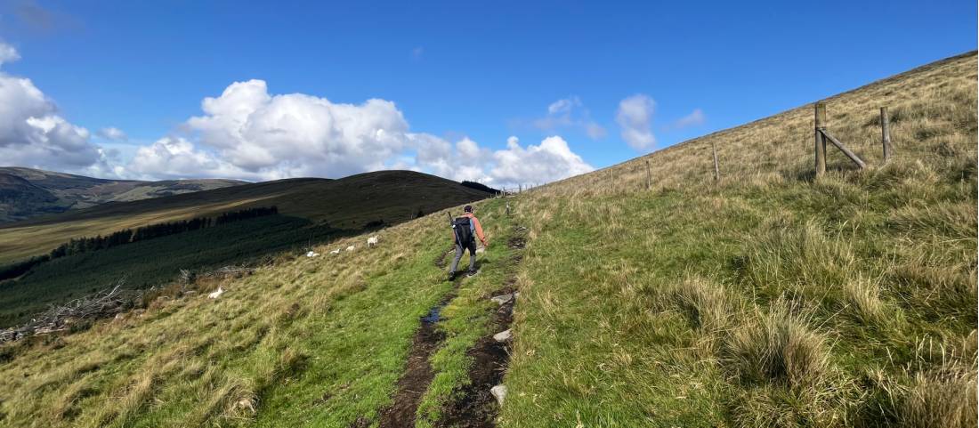 Sheep on the path to Glendalough in Ireland |  <i>Melodie Theberge</i>