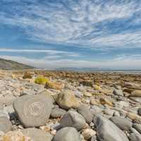 Ammonite fossil on a Devon beach near Lyme Regis | Mark Godden