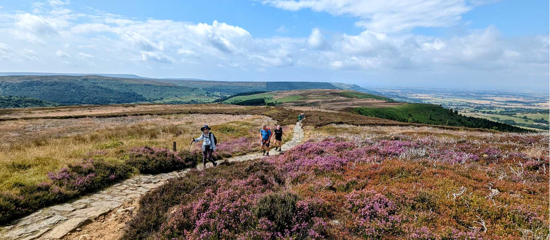 August heather on the North Yorks Moors | Jon Milllen