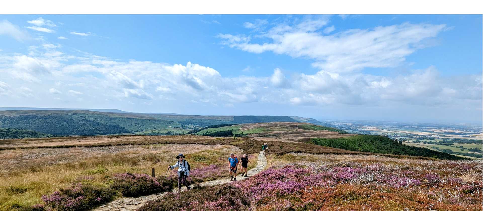 August heather on the North Yorks Moors | Jon Milllen