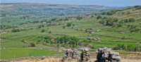 Yorkshire fields | John Millen