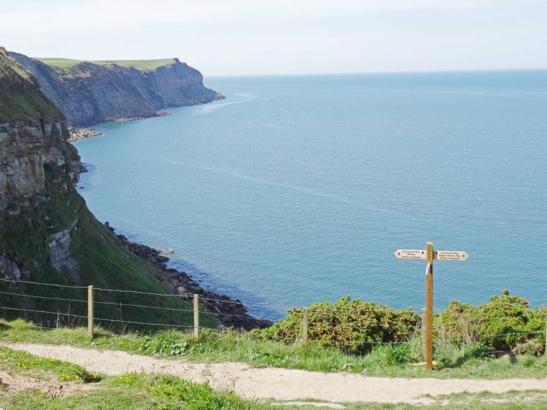 On the coastal path between Whitby and Filey |  <i>John Millen</i>