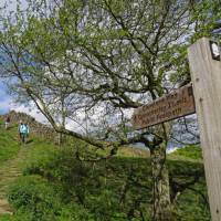 Hikers on the Cleveland Way | John Millen