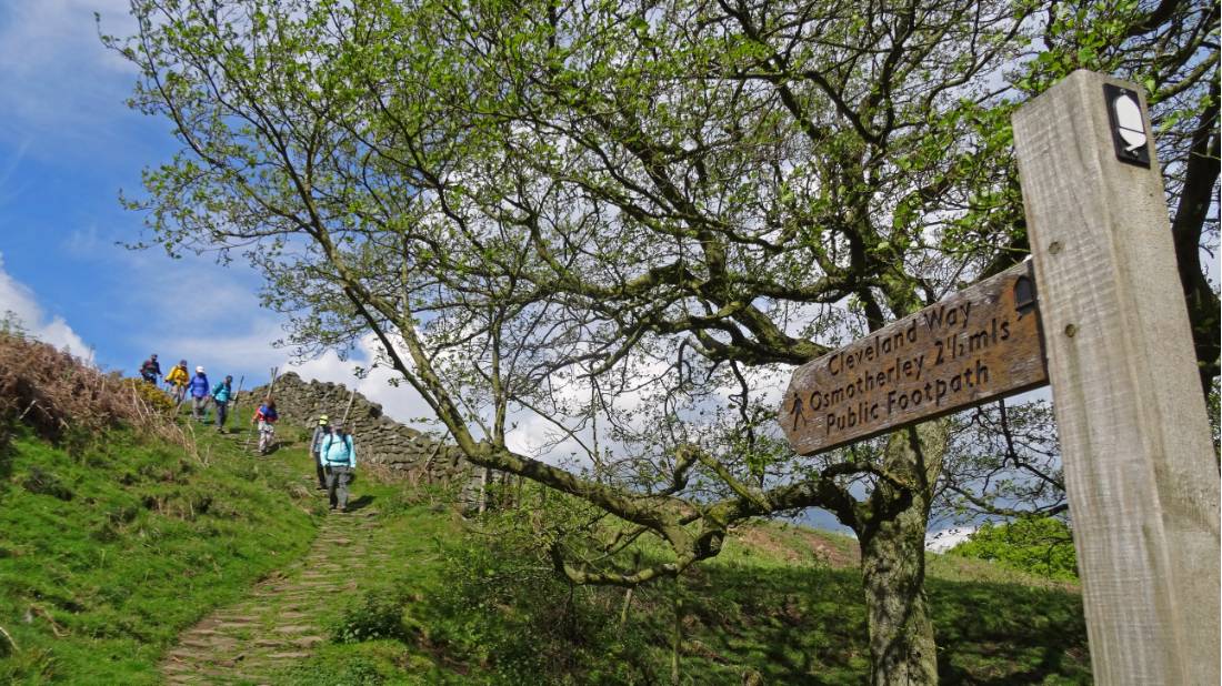 Hikers on the Cleveland Way |  <i>John Millen</i>