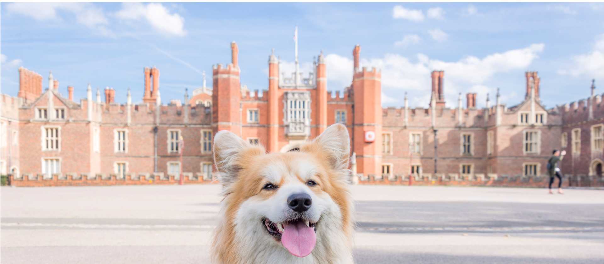 A special visitor to Hampton Court Palace | Aurelie Four - Visit Britain