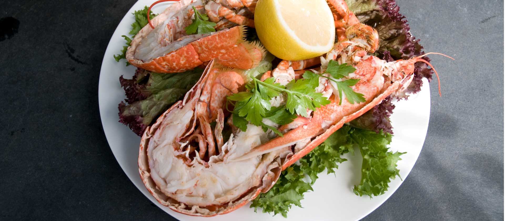 Delicious Cornish Seafood | Matt Jessop