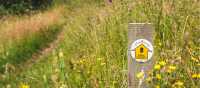 Waymarking on the Cotswold Way | Tom McShane