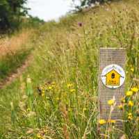 Waymarking on the Cotswold Way | Tom McShane