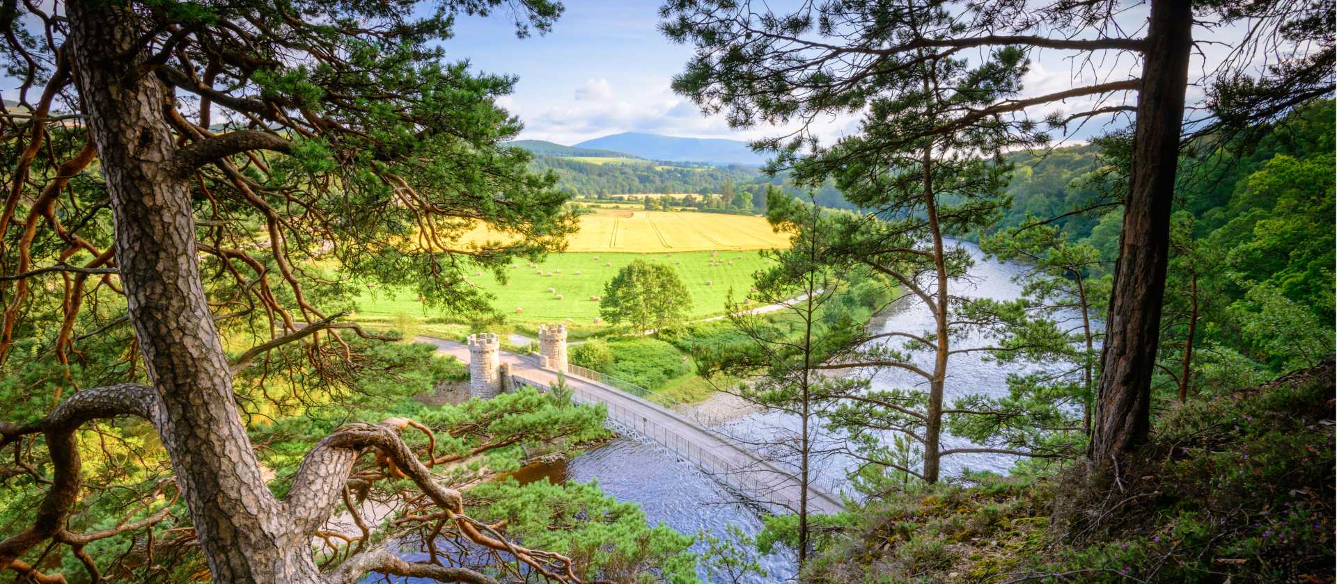 Craigellachie Bridge over the River Spey | Visit Scotland