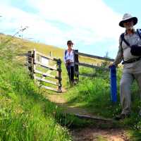 On the Great Glen above Drumnadrochit