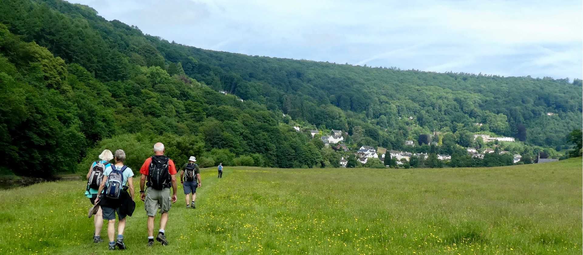 Field walking | Claire Cox