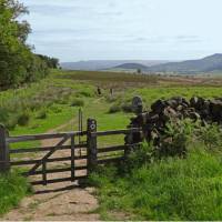 The North York Moors near Osmotherley | John Millen