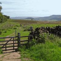 The North York Moors near Osmotherley | John Millen