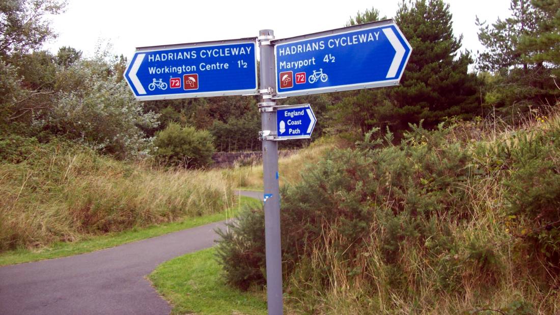 Follow the signs
