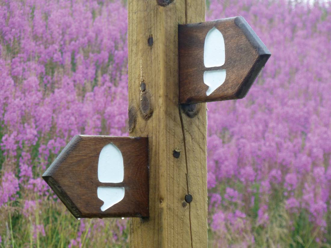 Hadrian's wall Waymark