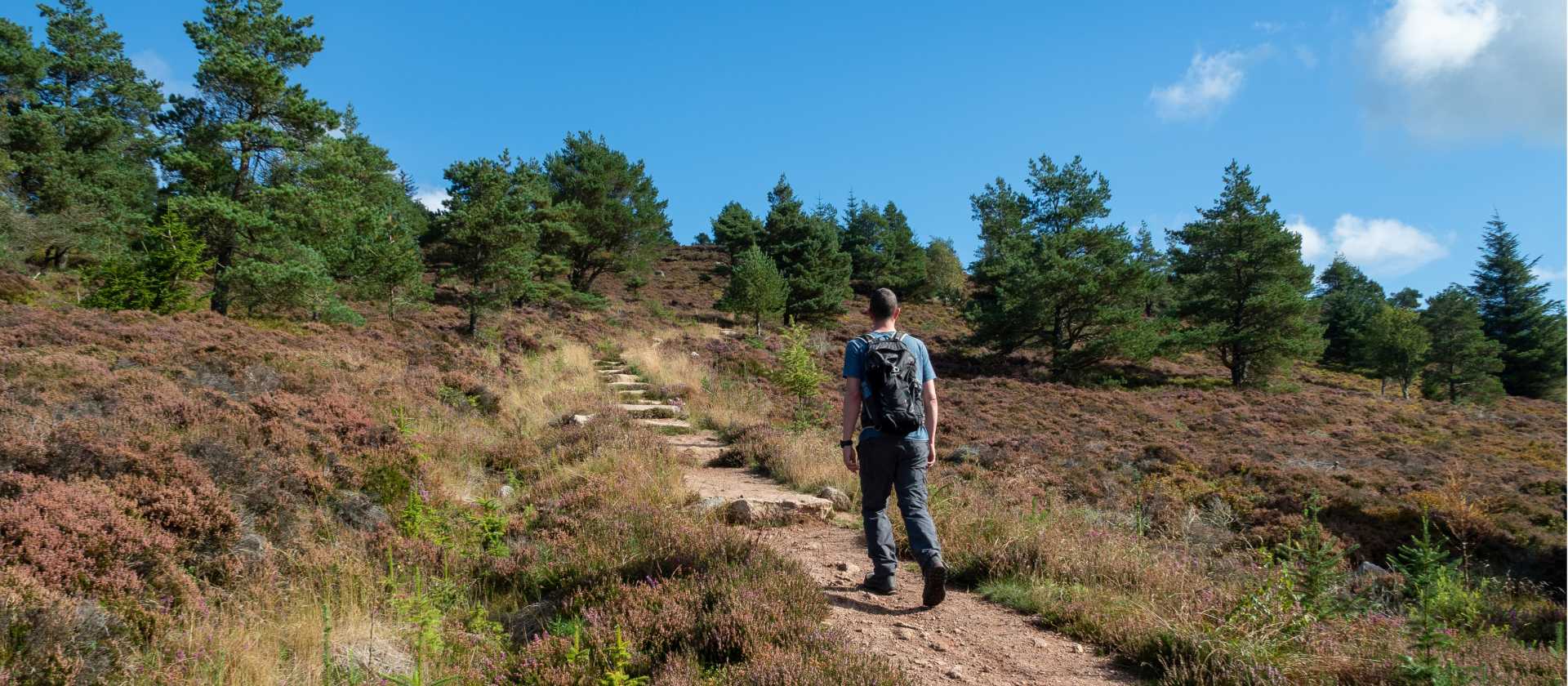 Hiking in the Cairngorm National Park | Madeleine Deaton