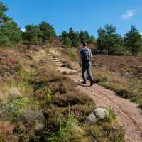 Hiking in the Cairngorm National Park | Madeleine Deaton