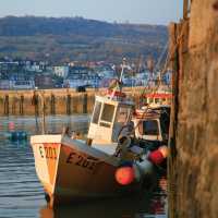 Harbour, Lyme Regis