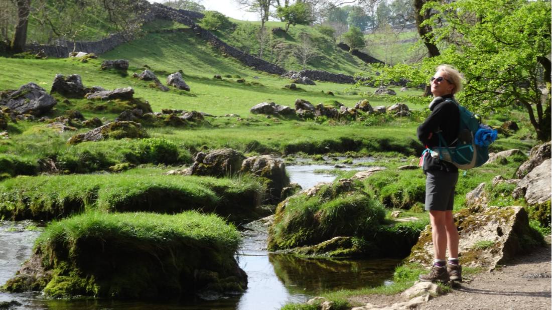 Limestone  tream at Malham |  <i>John Millen</i>