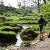 Limestone  tream at Malham | John Millen