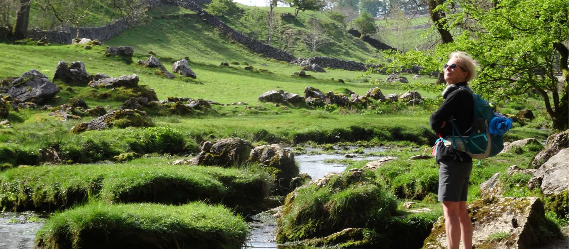 Limestone stream at Malham | John Millen