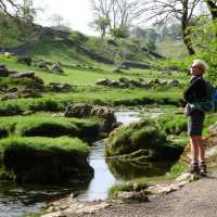Limestone stream at Malham | John Millen