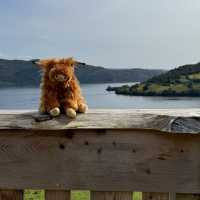 Meeting the Locals on the Great Glen Way | Loch Ness Hub