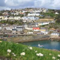 Mevagissey Harbour | John Millen