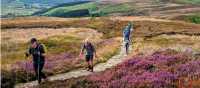 North York Moors Hikers | Jon Millen