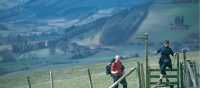 On the Offa's Dyke near Kington