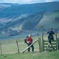 On the Offa's Dyke near Kington
