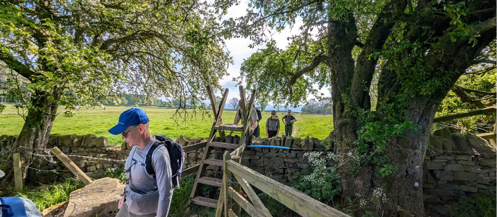 Follow Hadrian's Wall in England on a guided hiking holiday | John Millen