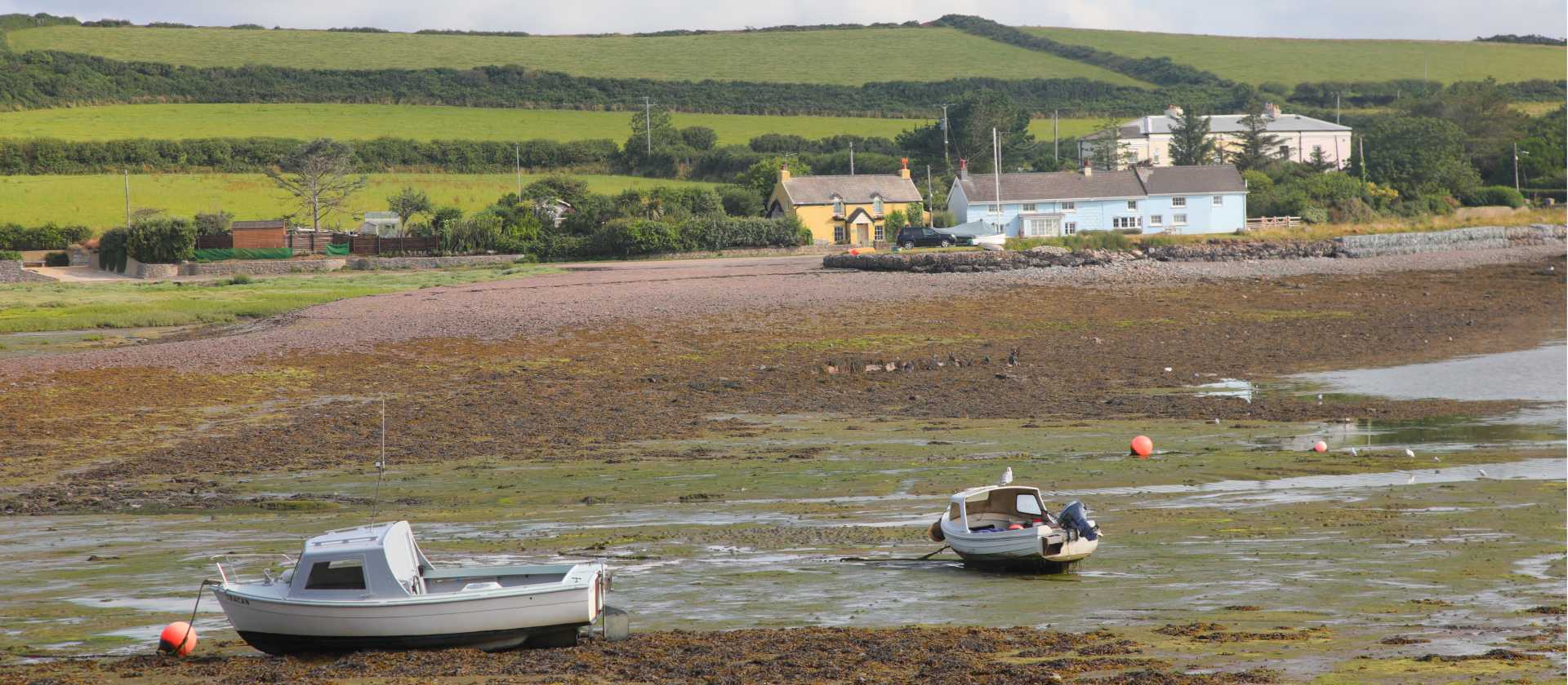 The Angle Bay Estuary | John Millen